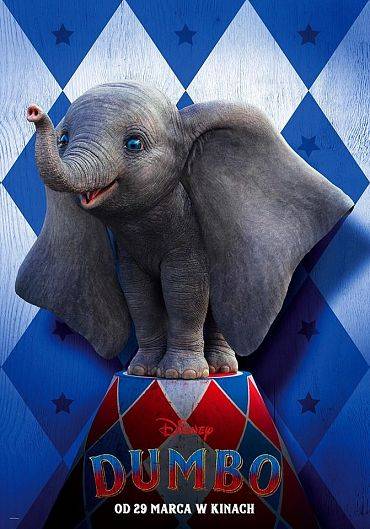 "Dumbo" - najsłodszy słonik świata!