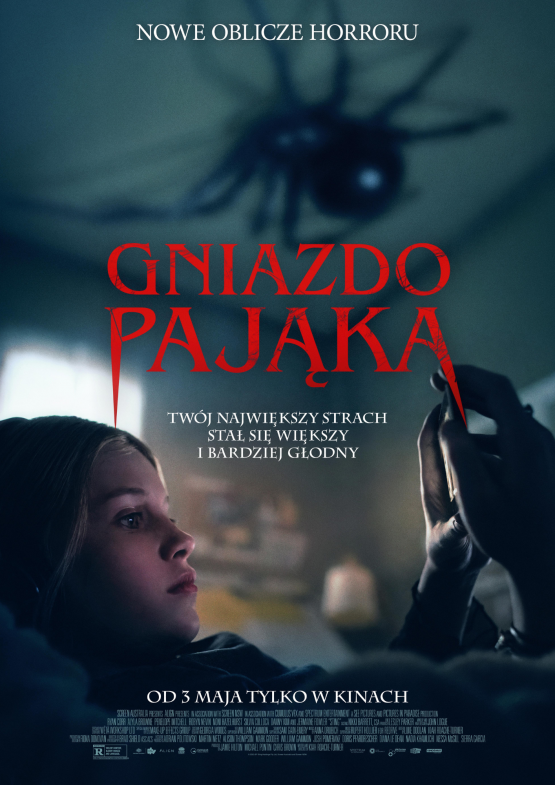 Grafika 1: Gniazdo pająka