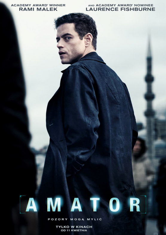Grafika 1: Amator