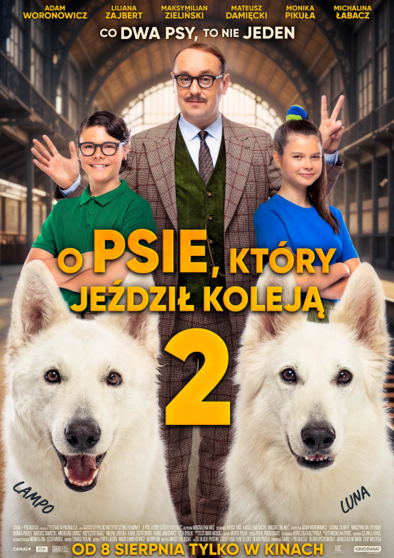 Grafika 1: Co dwa psy, to nie jeden