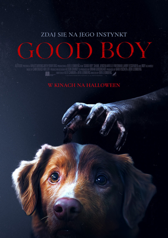 Grafika 1: Zdaj się na jego instynkt