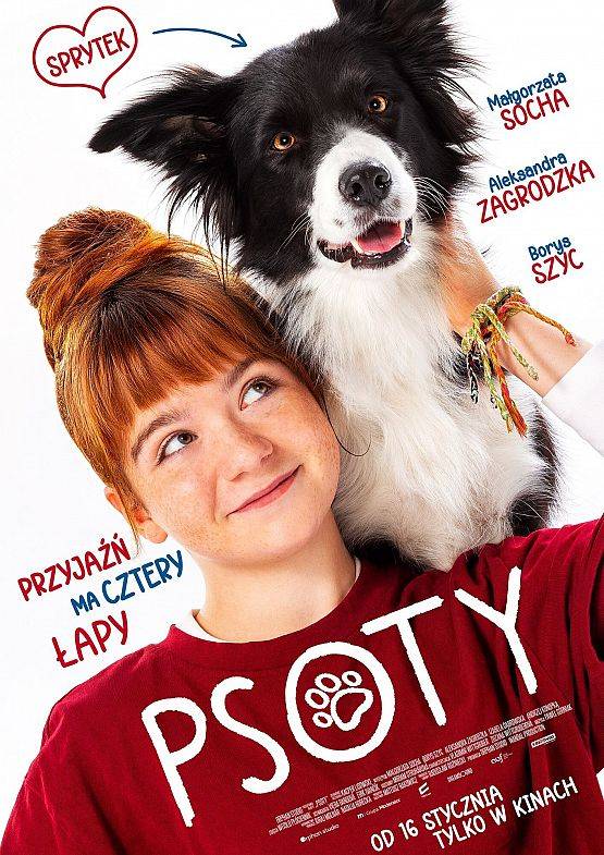 Grafika 1: Psoty