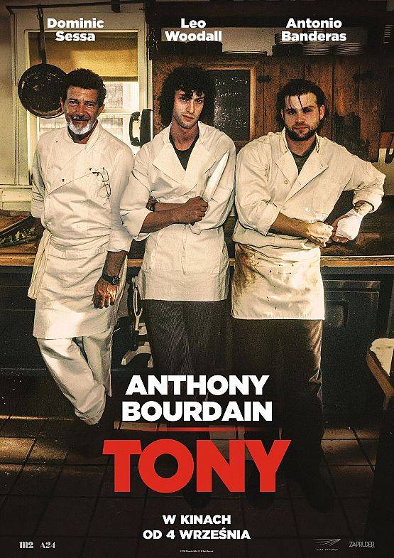 Grafika 1: Tony