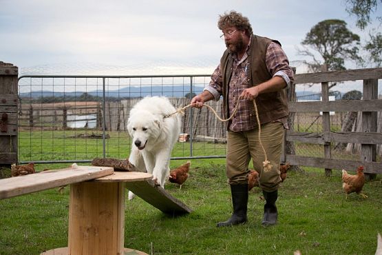 Grafika 2: "Szajbus i pingwiny" - zapraszamy od 12 sierpnia