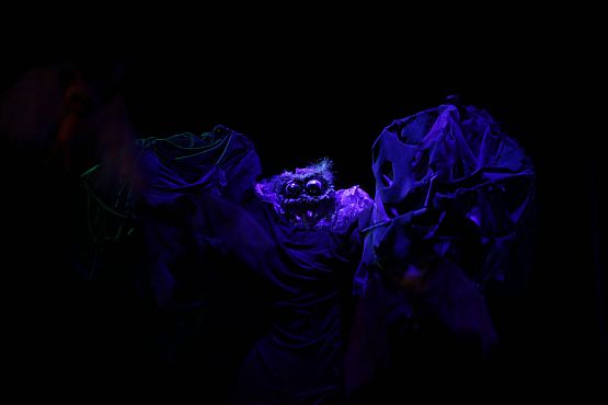 Grafika 5: „Janek Wędrowniczek” - spektakl dla dzieci w Stacji Kultura