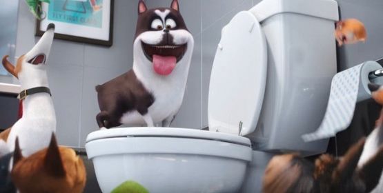 Grafika 1: "Sekretne życie zwierzaków domowych" - zapraszamy