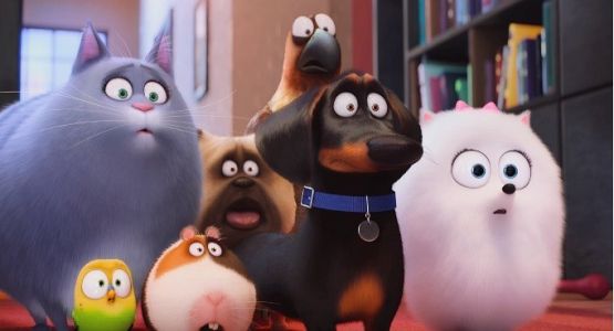 Grafika 3: "Sekretne życie zwierzaków domowych" - zapraszamy