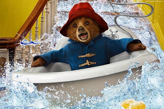 Grafika 3: Twarz twardziela, ale serce misia. Paddington powraca!