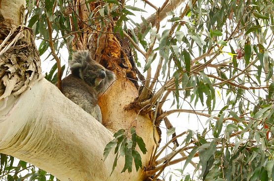 Grafika 4: "Plac zabaw na końcu świata" - niezwykła podróż