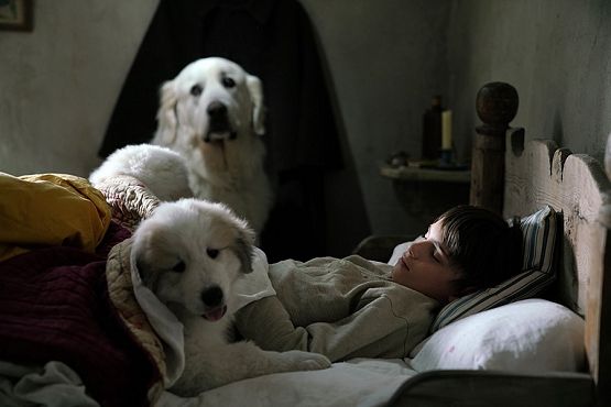 Grafika 1: "Bella i Sebastian 3" - przyjaciele na całe życie