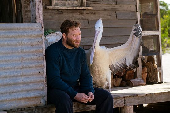 Grafika 4: Przyjaźń dodaje skrzydeł!