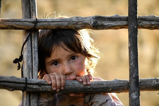 Grafika 3: „Kraina miodu” w lutym w DKFie