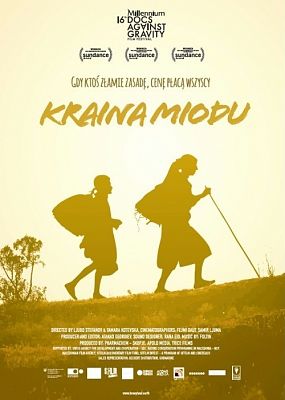 Grafika 1: „Kraina miodu” w lutym w DKFie