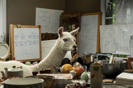 Grafika 1: Rodzinna zamiana ciał