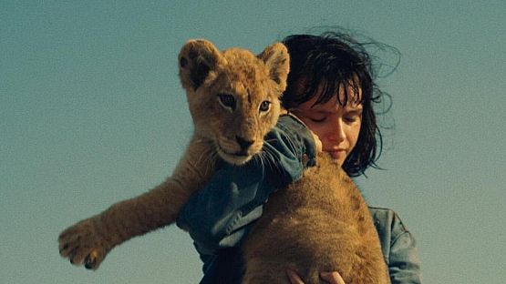 Grafika 2: King: Mój przyjaciel lew