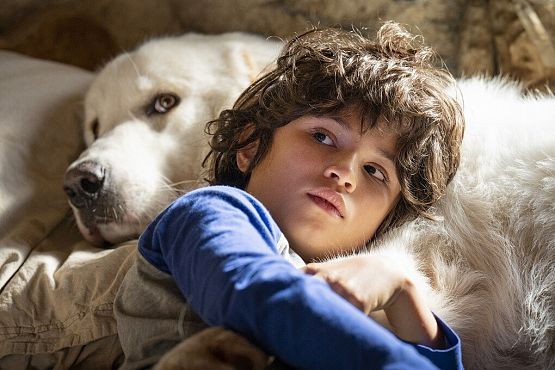 Grafika 1: Bella i Sebastian: Nowe pokolenie