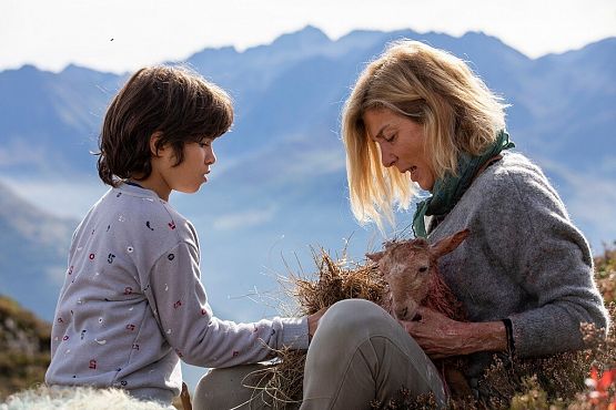 Grafika 3: Bella i Sebastian: Nowe pokolenie