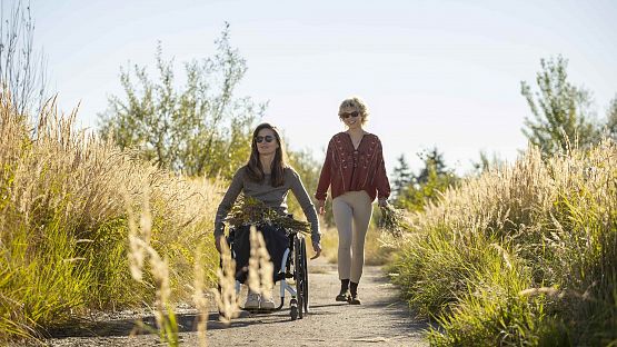 Grafika 3: Skołowani