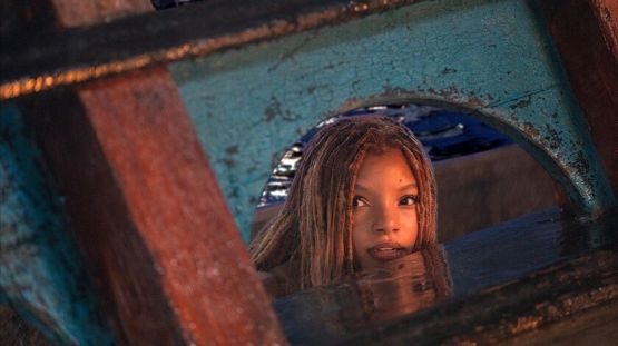 Grafika 1: Mała syrenka