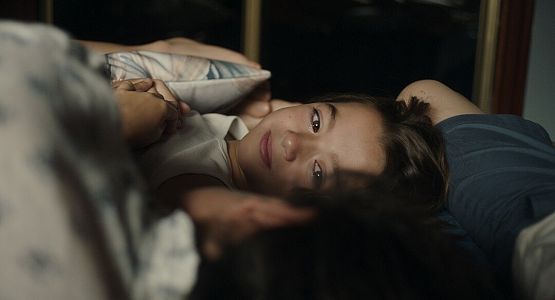 Grafika 3: 20 000 gatunków pszczół