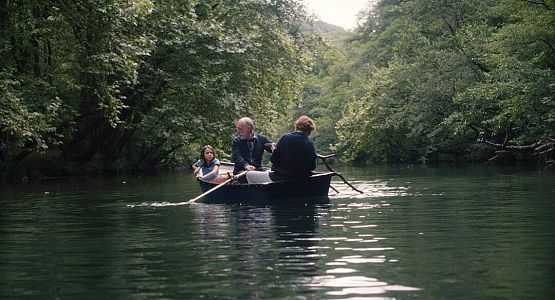 Grafika 1: 20 000 gatunków pszczół