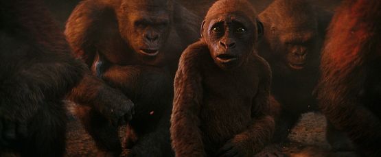 Grafika 3: Powstaną razem lub upadną osobno