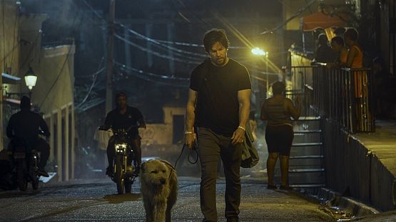 Grafika 3: Mój pies Artur