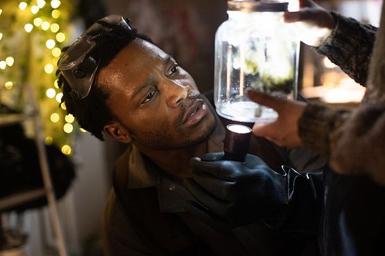 Grafika 3: Gniazdo pająka