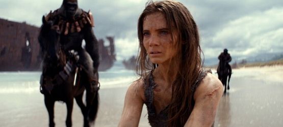 Grafika 2: Poznajcie świat, którym rządzą małpy