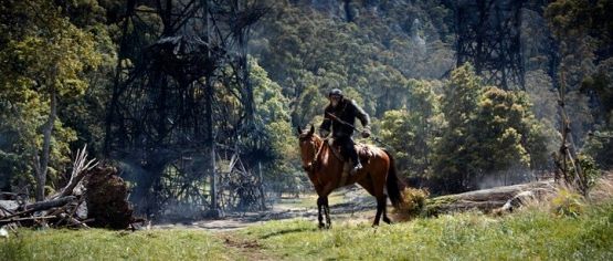 Grafika 3: Poznajcie świat, którym rządzą małpy