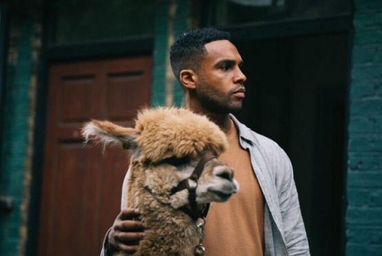 Grafika 3: Kino dla Kobiet we "Fregacie" w październiku