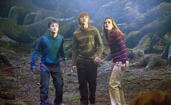 Grafika 3: Harry Potter i Zakon Feniksa