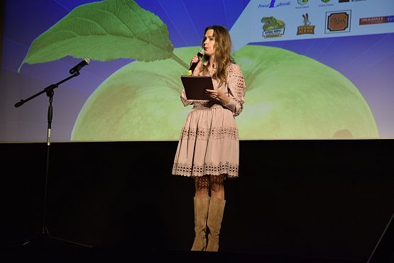 Grafika 2: IX Powiatowy konkurs recytatorski "Wiosenny powiew poezji" (23.04.2024)