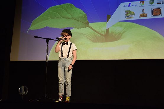 Grafika 6: IX Powiatowy konkurs recytatorski "Wiosenny powiew poezji" (23.04.2024)
