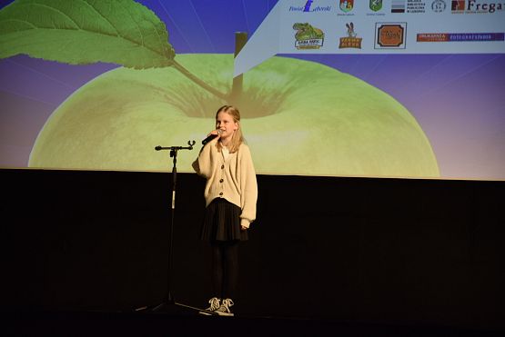 Grafika 13: IX Powiatowy konkurs recytatorski "Wiosenny powiew poezji" (23.04.2024)