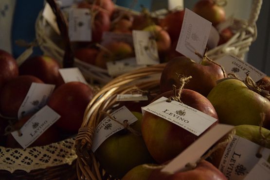 Grafika 1: Kaszubski Dzień Jedności - 21.03.2025