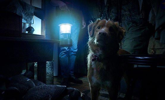 Grafika 3: Filmowy wieczór grozy we "Fregacie"