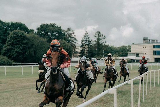 Grafika 1: FREGATA DLA SENIORÓW: Wielka Warszawska