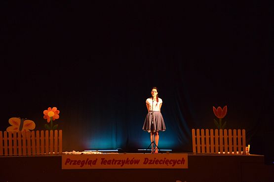Grafika 1: Przegląd teatrzyków dziecięcych. 10.06.2016.